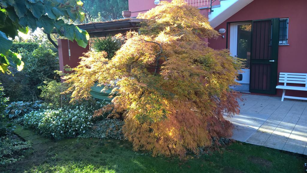 La Collina Since 2008 No Smoking B&B Varese Exterior photo