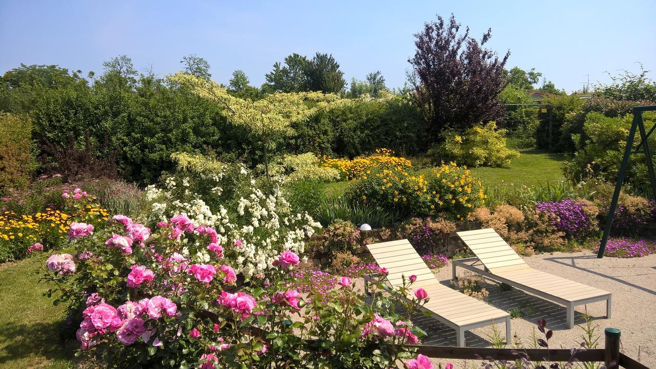 La Collina Since 2008 No Smoking B&B Varese Exterior photo